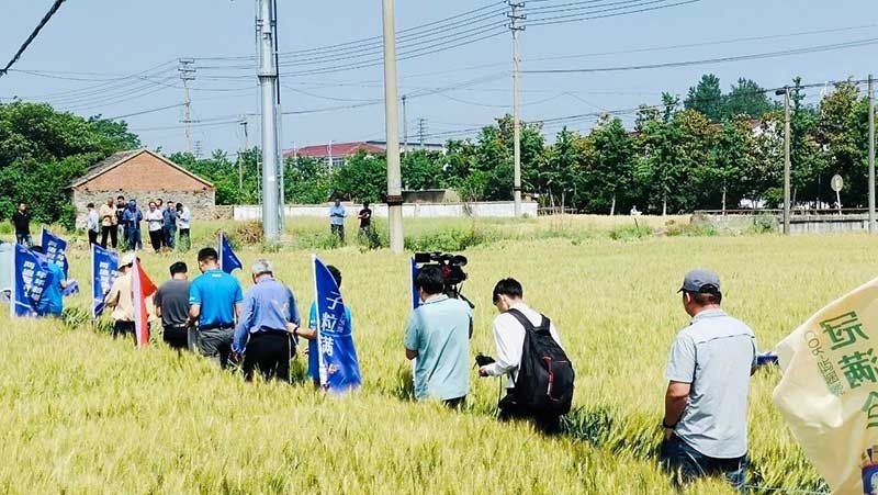 520健康植保日——擁抱綠色農(nóng)業(yè)，我們?cè)谛袆?dòng)