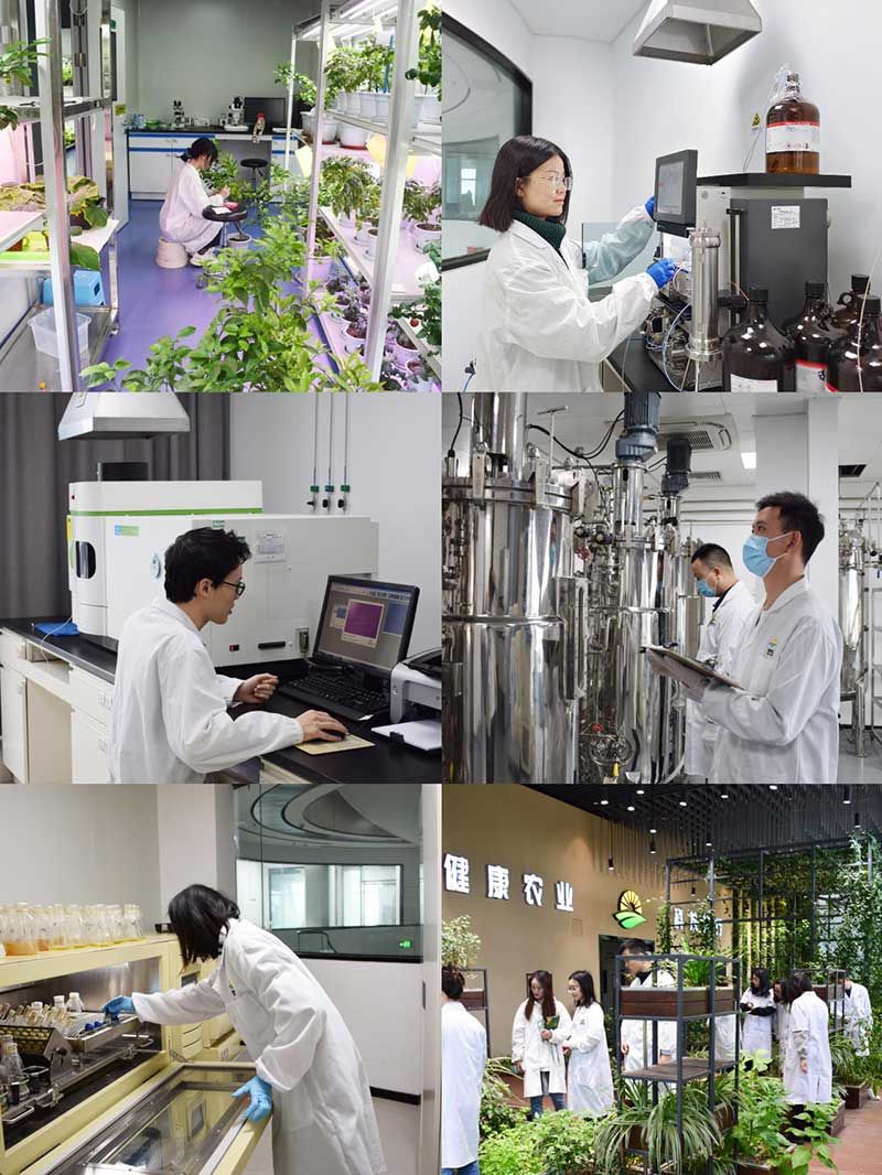 “全國科技工作者日”：推動農(nóng)業(yè)綠色高質(zhì)量發(fā)展，新朝陽科研人在路上