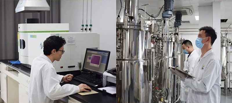 打造新朝陽生物科技“五張名片”，服務農(nóng)業(yè)高質(zhì)量發(fā)展！