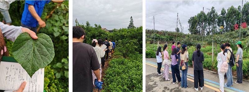 首個！中國農(nóng)業(yè)大學(xué)攜手新朝陽啟動“朝陽稼穡計(jì)劃”