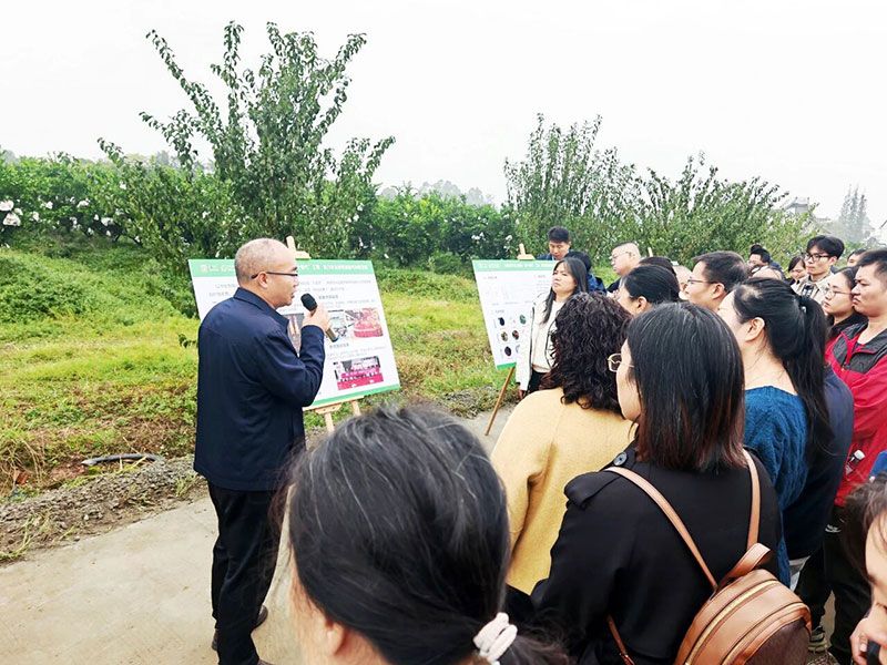 新朝陽(yáng)生物技術(shù)助力綠色防控，推動(dòng)柑橘產(chǎn)業(yè)綠色高質(zhì)量發(fā)展